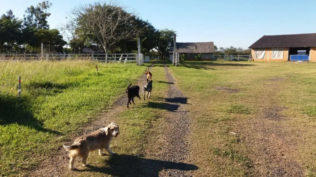Imagem Sítio em Pedreira