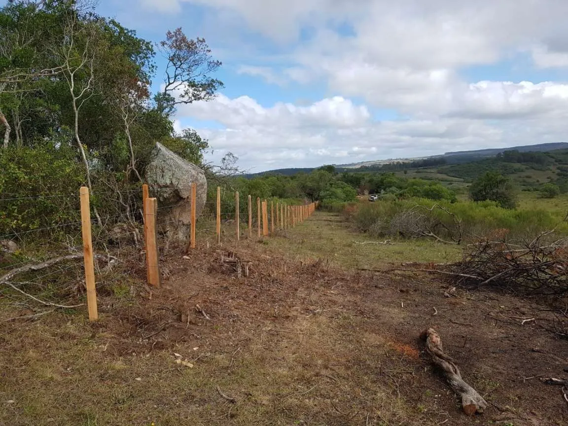 Imagem Sítio para Venda em Pedro Osório, Brasileiras