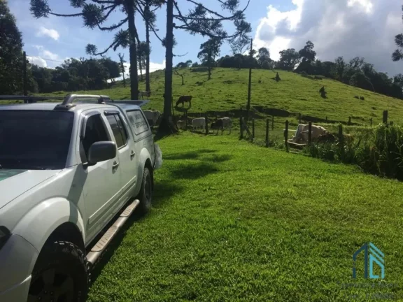 Imagem Sítio ótima localização, documentada, 15 alqueires com casas, Tijucas do Sul - PR