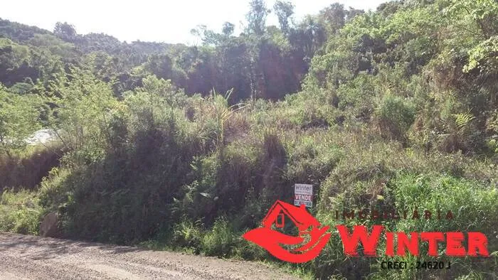 Imagem Terreno amplo com 1200m² bairro, Picão, Feliz.