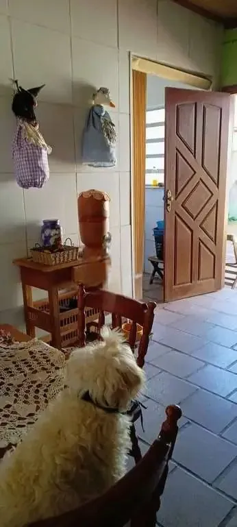 Imagem Casa em Jardim Algarve