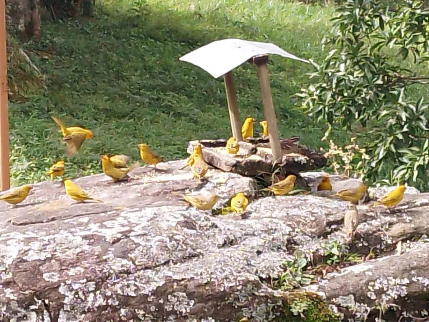 Imagem Chácara à venda 2 Quartos, 6 Vagas, Ribeirão Grande, Pindamonhangaba - SP