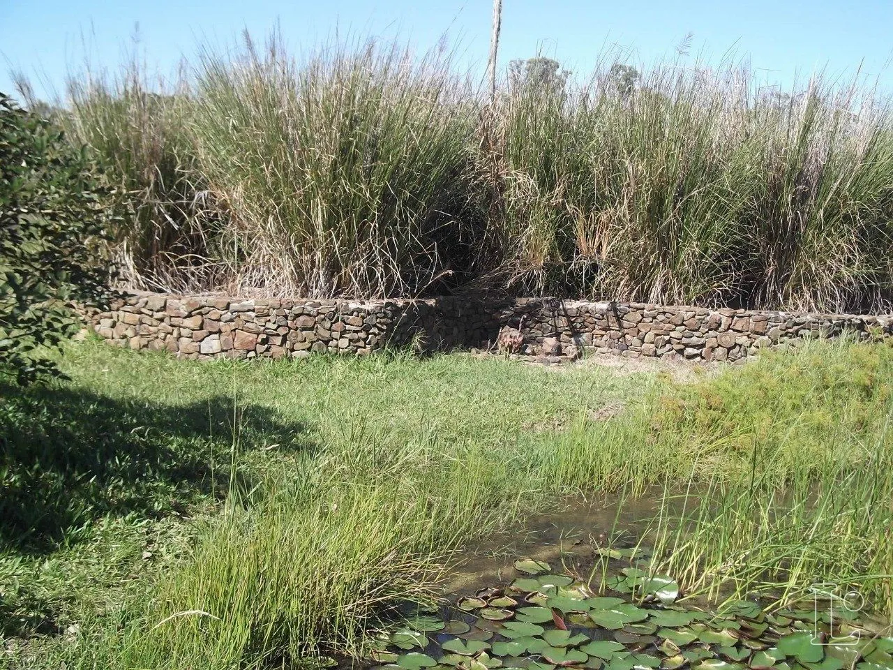 Imagem Sítio para Venda - 30000m², 2 dormitórios, Passo Do Vigário