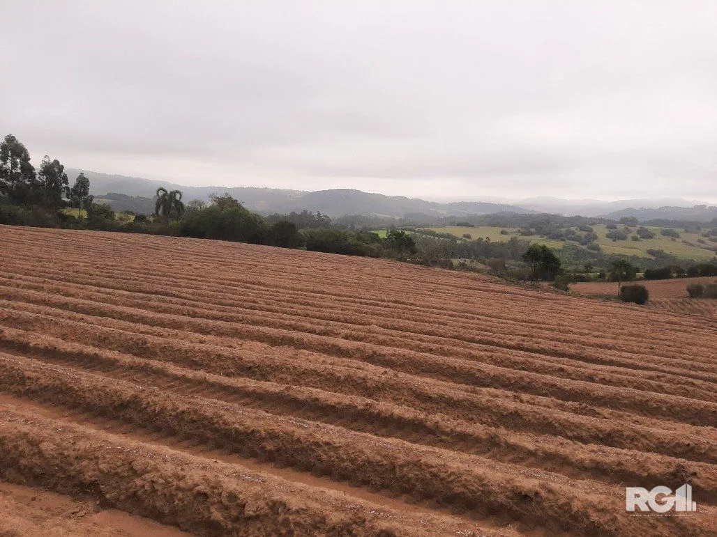Imagem Area de terras cultivaveis