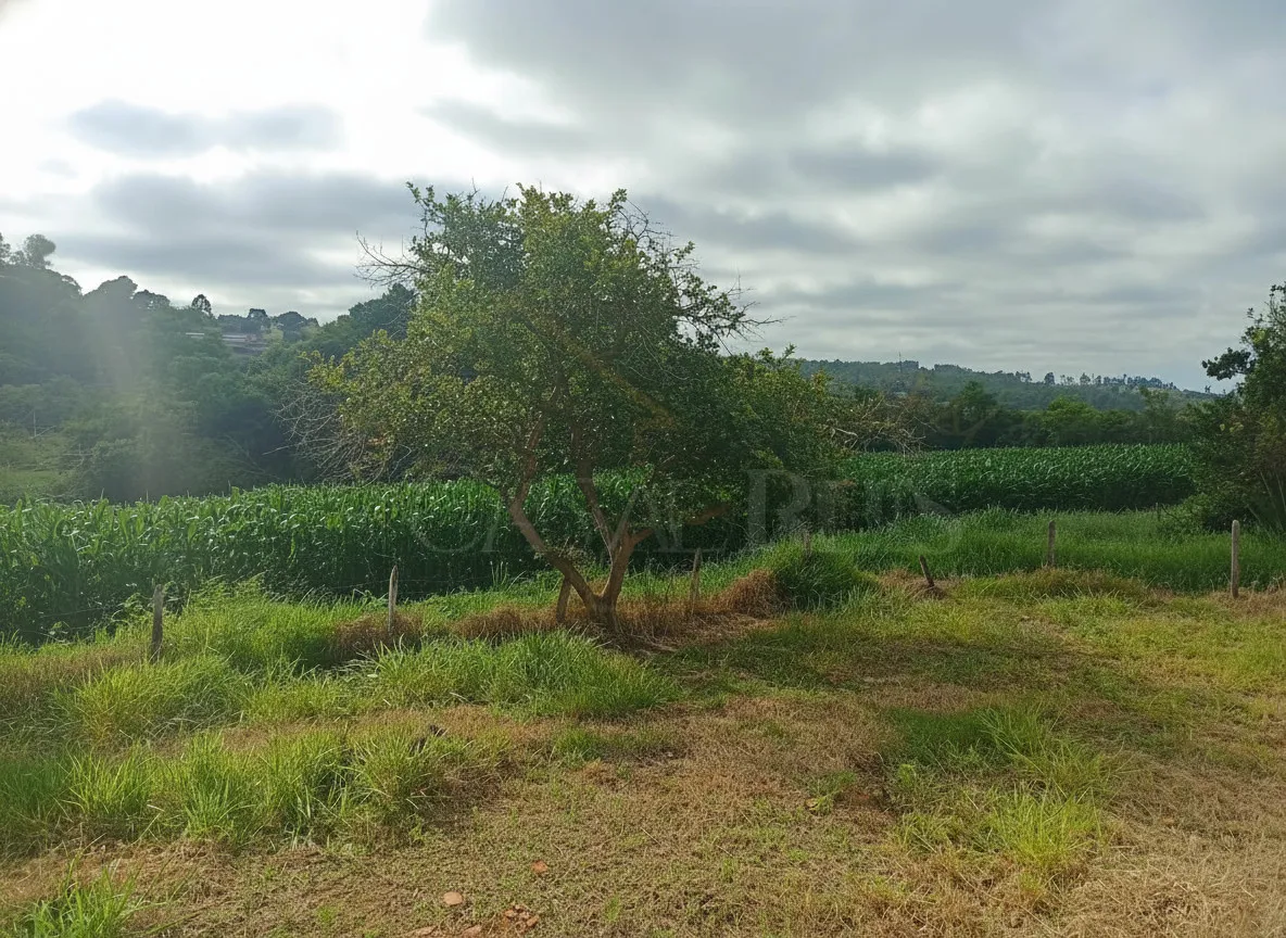 Imagem Sítio 50 m² à venda em Centro, Cruzília
