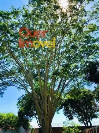 Imagem Chácara de luxo em condomínio: 6 quartos, 4 suítes, 2 salas, 6 banheiros, 4 vagas - 600m² - Ribeirão Preto, Condomínio Portal dos Ipês
