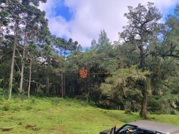 Imagem Sítio à venda, 60500 m² por R$ 905.000 - Bom Jardim - Camanducaia/MG