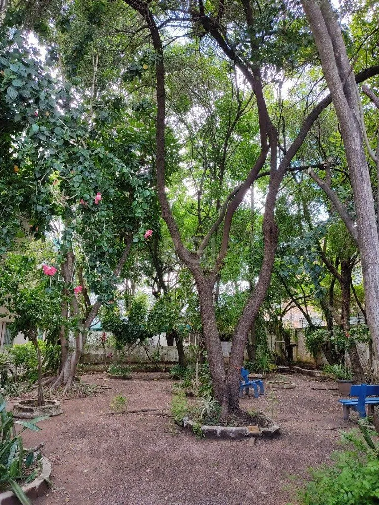 Imagem Apartamento para Venda - 79m², 3 dormitórios, São João