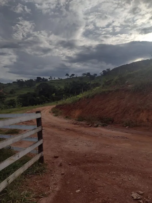 Imagem Excelente fazenda com 194 hectares de terra de cultura disponível para venda