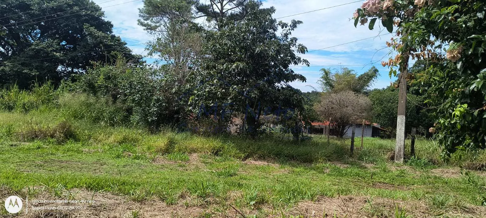 Imagem Terreno Padrão