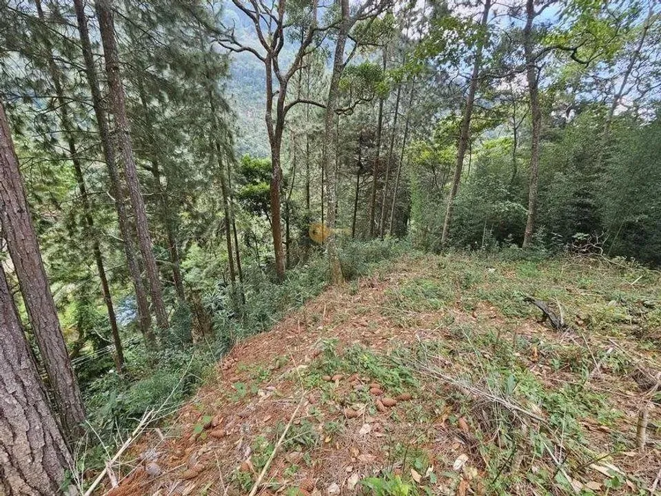 Imagem Terreno para Venda em Teresópolis / RJ no bairro Cascata dos Amores