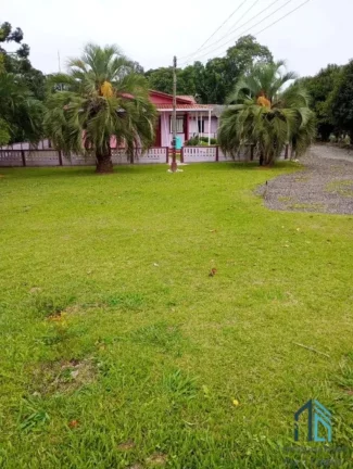 Imagem Área para plantio, bem localizada, asfalto na frente próximo a tudo em São José dos Pinhais PR