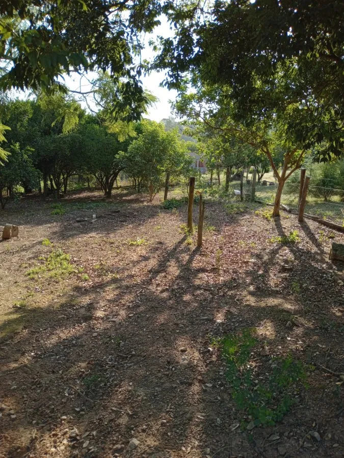 Imagem Sítio para Venda em Pelotas, Monte Bonito, 2 dormitórios, 1 banheiro, 1 vaga