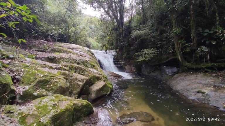 Imagem Sítio a VENDA, com várias lindas cachoeiras, a 4Km da SC 108, de fácil acesso. Lugar Maravilhoso em meio a natureza! Propriedade ótima para investime