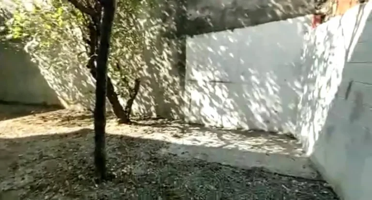 Imagem Alugo Galpão em Santo André, Casa Branca