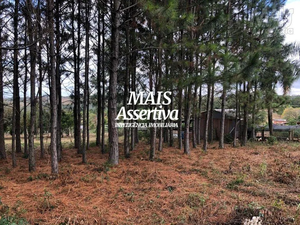 Foto do imóvel Chácara para Venda em Novo Hamburgo / RS
