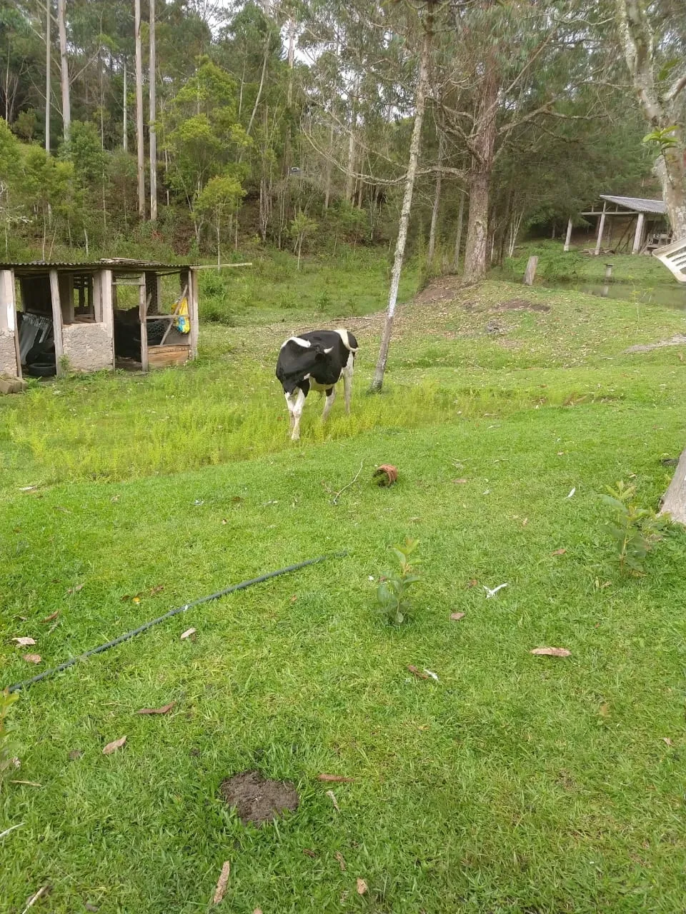 Imagem Chácara à venda 5 Quartos, 1 Suite, 10 Vagas, 24000M², Zona Rural, São Luiz do Paraitinga - SP