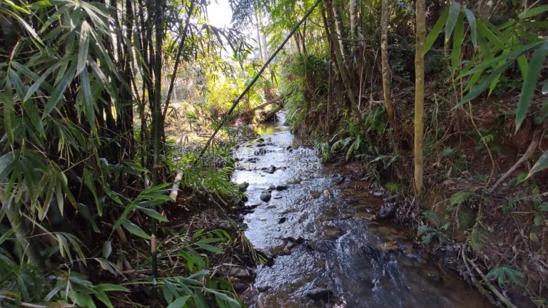 Imagem VENHA CONHECER O PARAÍSO NOVA TRENTINO! SÍTIO RECANDO DA ESPERANÇA Você está em busca de um refúgio tranquilo, próximo à natureza