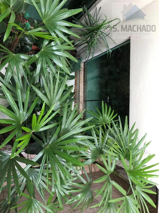 Imagem Sobrado para Venda em Santo André / SP no bairro Vila Curuça