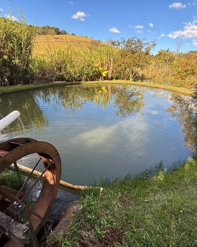 Imagem Sítio à Venda em Entre Rios de Minas/ MG , com 6 hectares (60.000 m²)