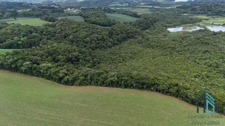 Imagem Área com 10 alqueires divisa com Rio Verde em Campo Largo - PR