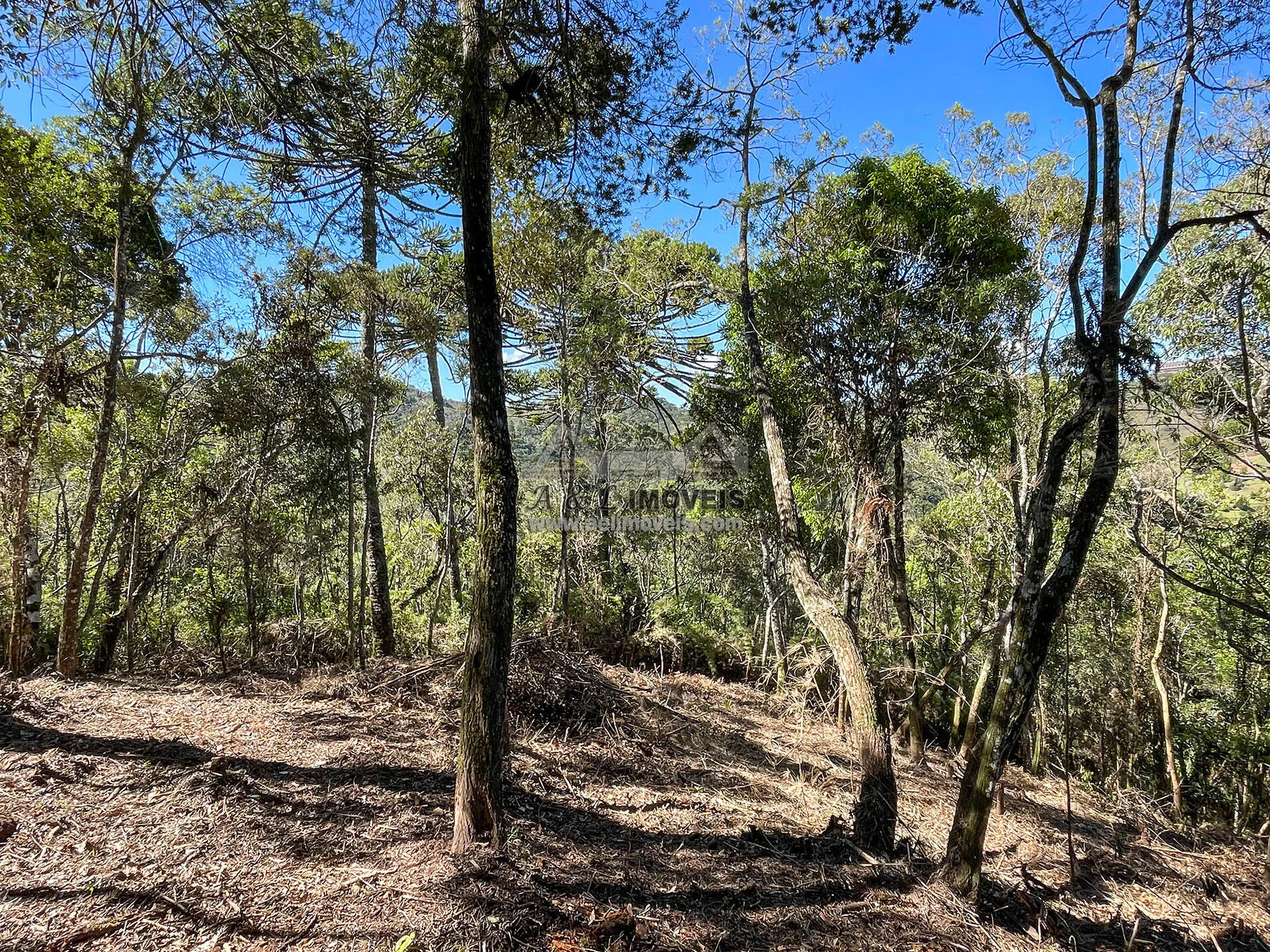 Imagem Terreno à venda em Campos do Jordão - Excelente opção para investimento