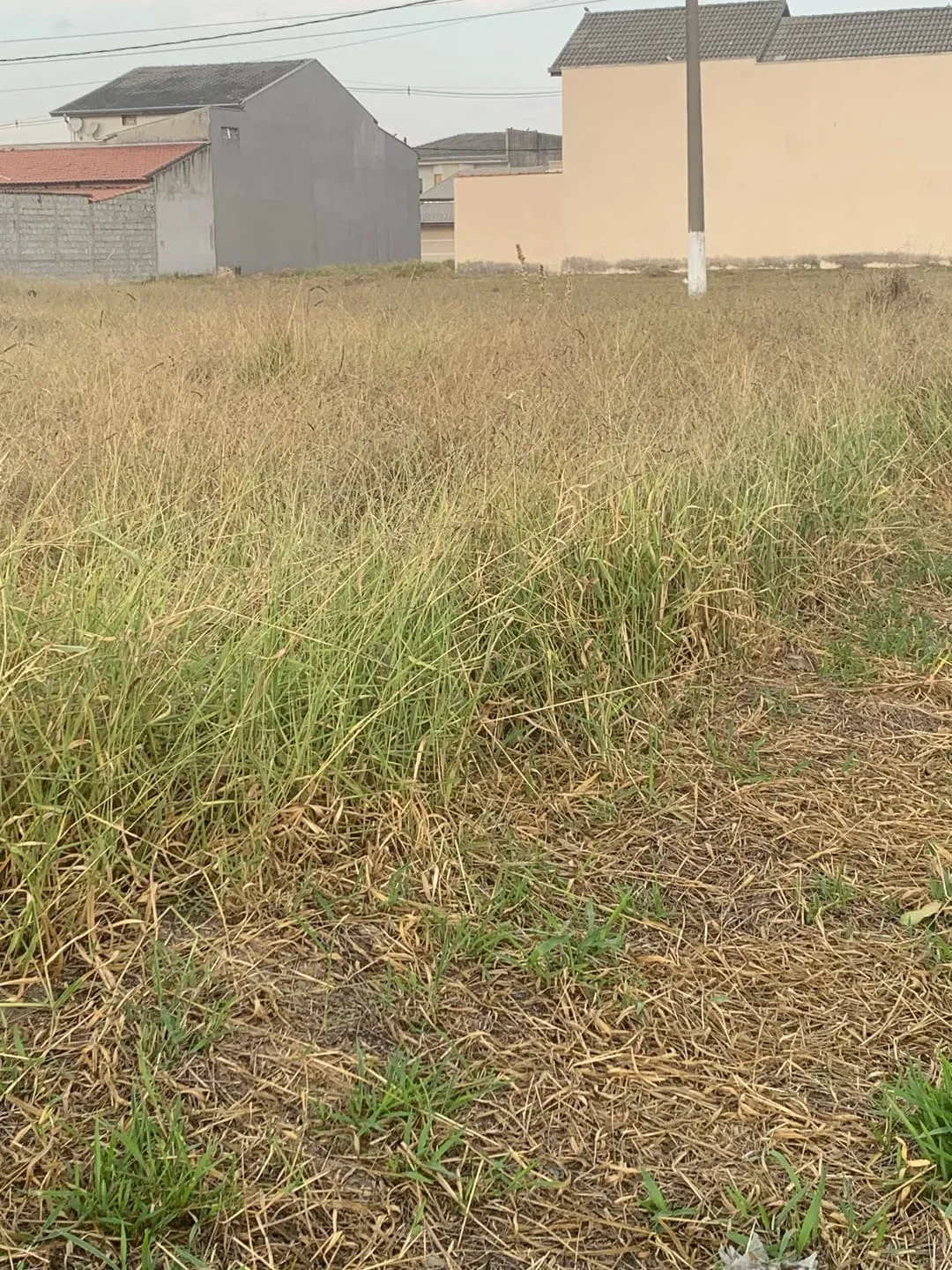 Imagem Terreno à venda 250M², Moreira César, Pindamonhangaba - SP