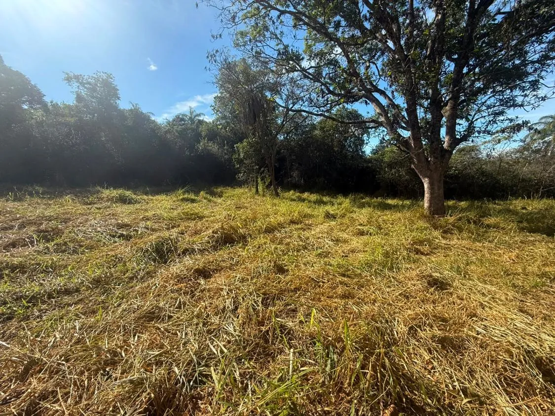Imagem FAZENDA À VENDA EM CARMÓPOLIS DE MINAS /Área total: 315 hectares