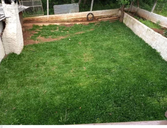 Imagem Casa para Venda em Concórdia, Flamengo, 4 dormitórios, 2 banheiros, 3 vagas