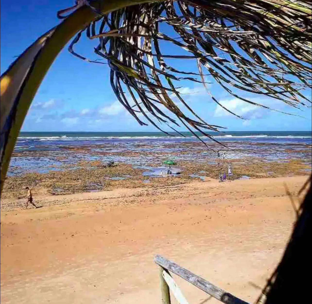 Imagem Apartamento duplex na praia de ITACIMIRIM, Camaçari-BA