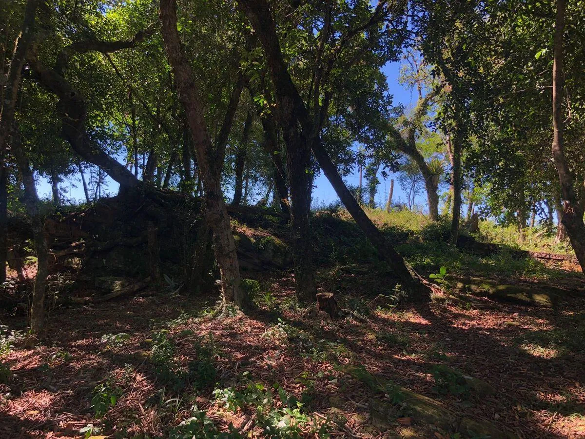 Imagem Chácara para venda , localizado em São João do Deserto, Lomba Grande em Novo Hamburgo/RS.