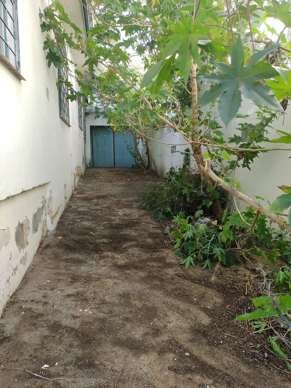 Imagem Casa em Jardim São Pedro