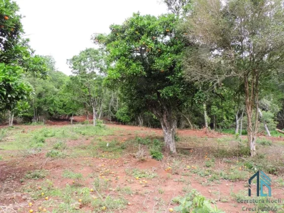 Imagem Área a venda 125 mil m², em ótima localização, próximo novo Autódromo Internacional Chapecó SC