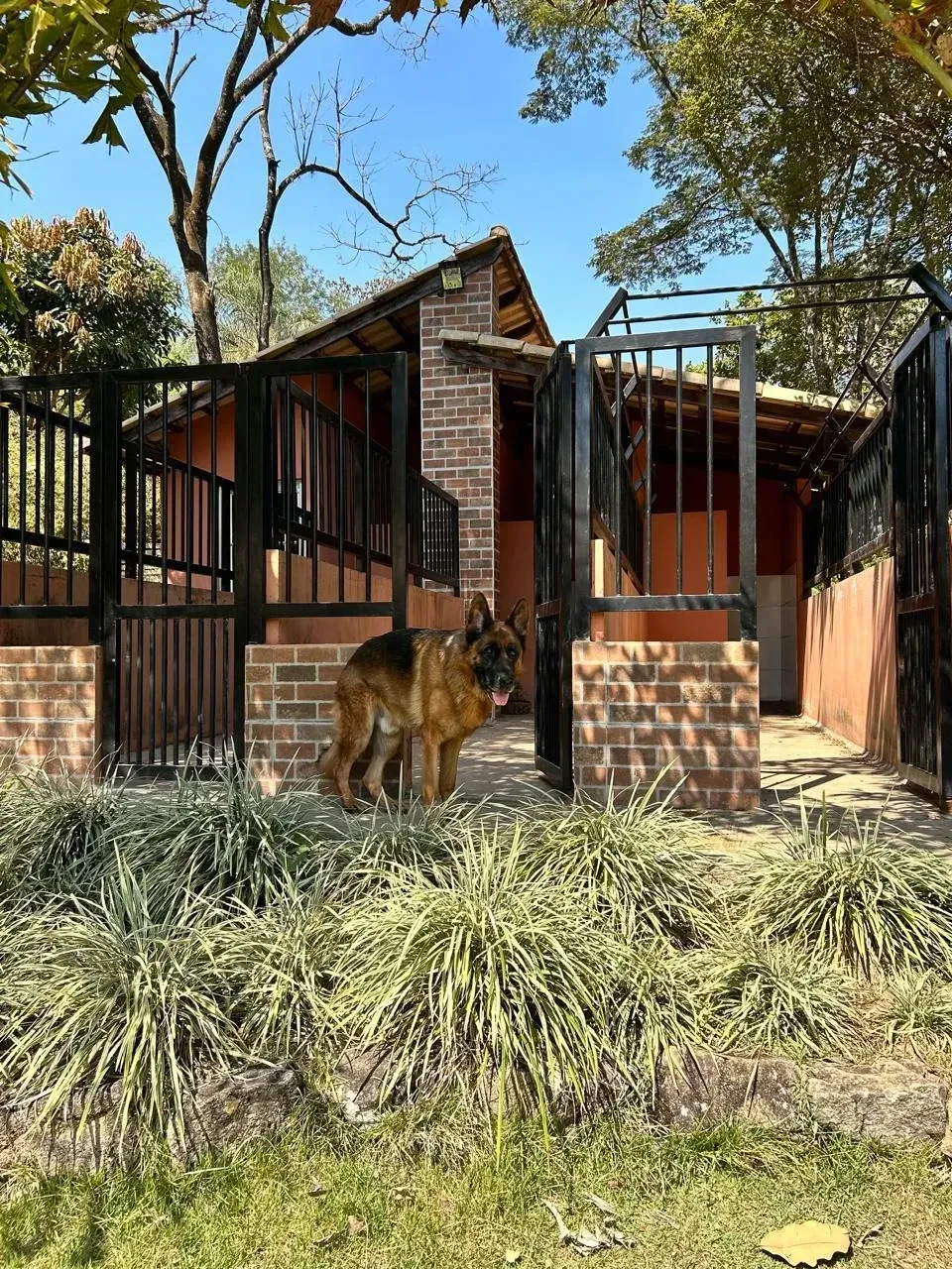 Imagem Sítio à Venda, 4700 metros em Parque Ipiranga - Betim
