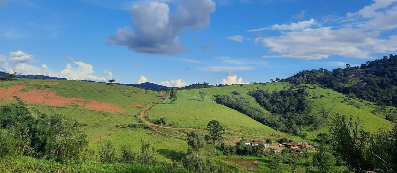 Imagem Sítio 52,64 ha à venda em Figueira, Caldas