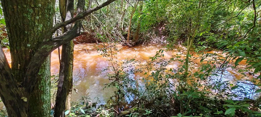 Imagem Chácara à venda em Cascavel - São Salvador - Lavoura e Rio