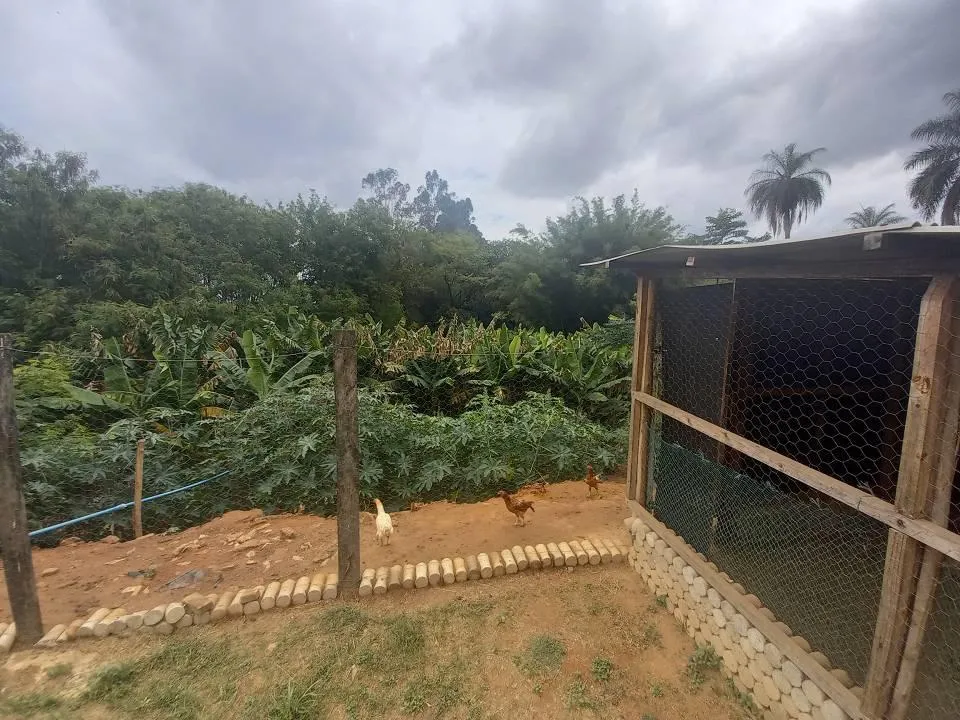 Imagem CHÁCARA - PARQUE IMPERADOR -CAMPINAS