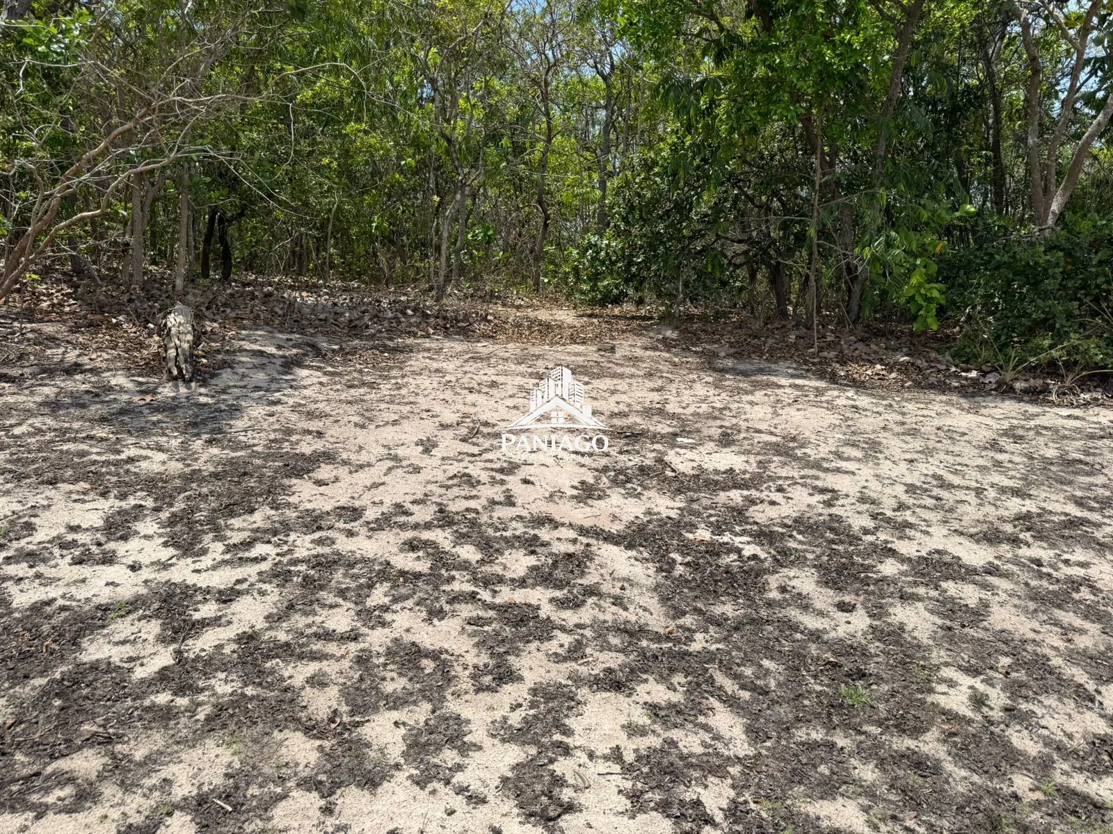 Imagem Chácara de 18 Hectares com Beira de Lago à Venda OPORTUNIDADE
