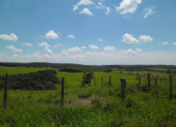 Imagem FAZENDA FORMADA no interior de São Paulo