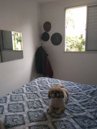 Imagem Apartamento à venda em São Paulo-SP, Paraisópolis: 3 quartos, 1 suíte, 2 banheiros, 2 vagas de garagem, 76m². Venha conferir!