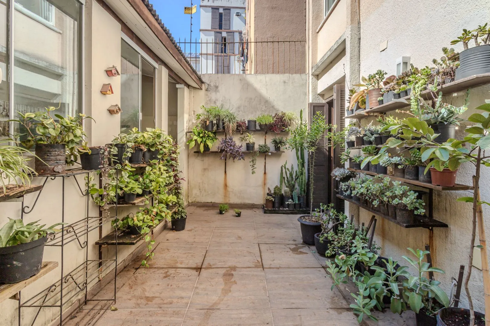 Imagem apto garden. no bairro Petrópolis, com lindo pátio privativo. todo reformado.