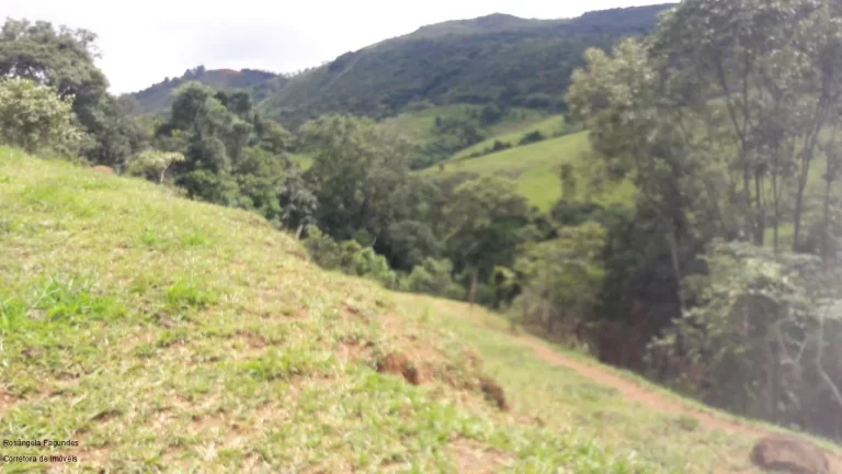 Imagem SITIO RURAL em CALDAS - MG, LARANJEIRAS DE CALDAS