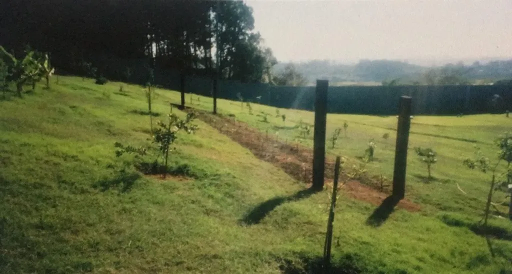 Imagem Casa com Potencial Incrível em Terreno de 8.900m² - Área Construída de 650m², Mini Lago e Muito Mais!