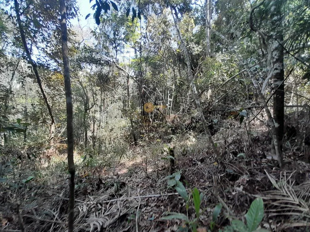 Imagem Terreno para Venda em Teresópolis / RJ no bairro Vargem Grande