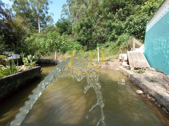 Imagem Chácara com Lago em Terra Preta / Mairiporã