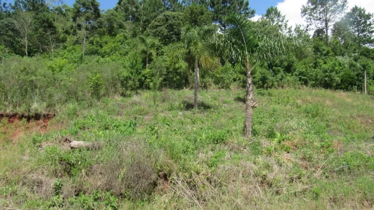 Foto do imóvel Terreno para Venda em Concórdia, Rural em Sc461