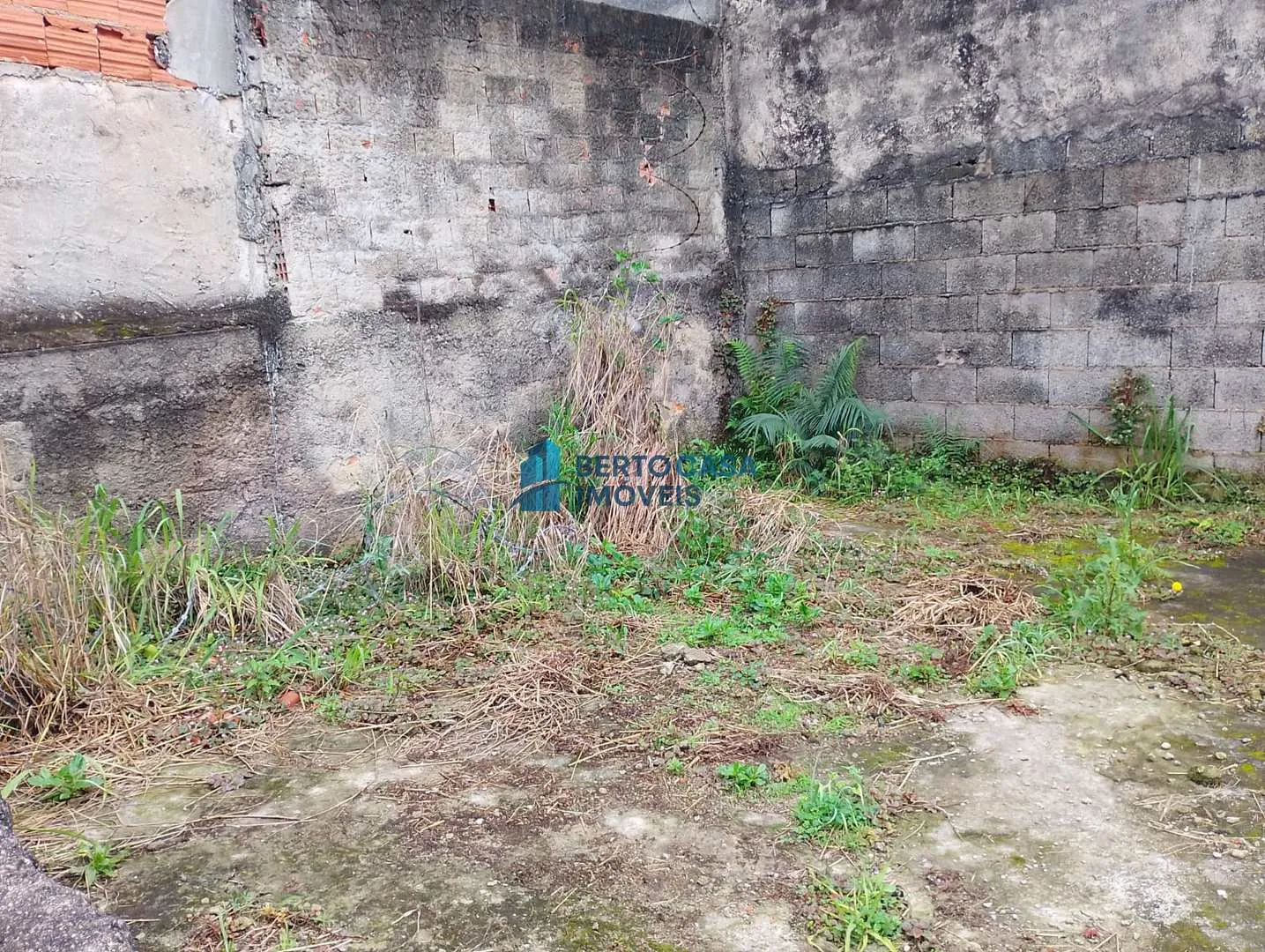 Imagem Casa Padrão