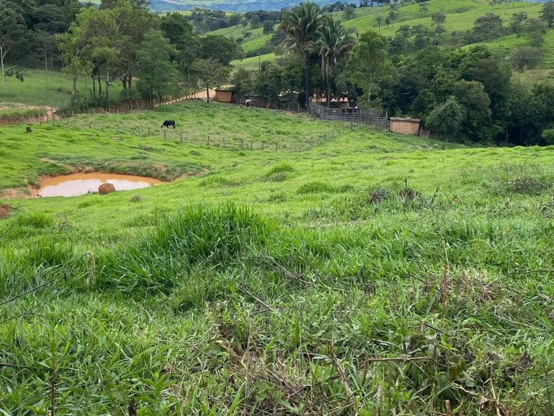Imagem Vendo uma ótima chácara em Itaguara/MG com 23.000 m²