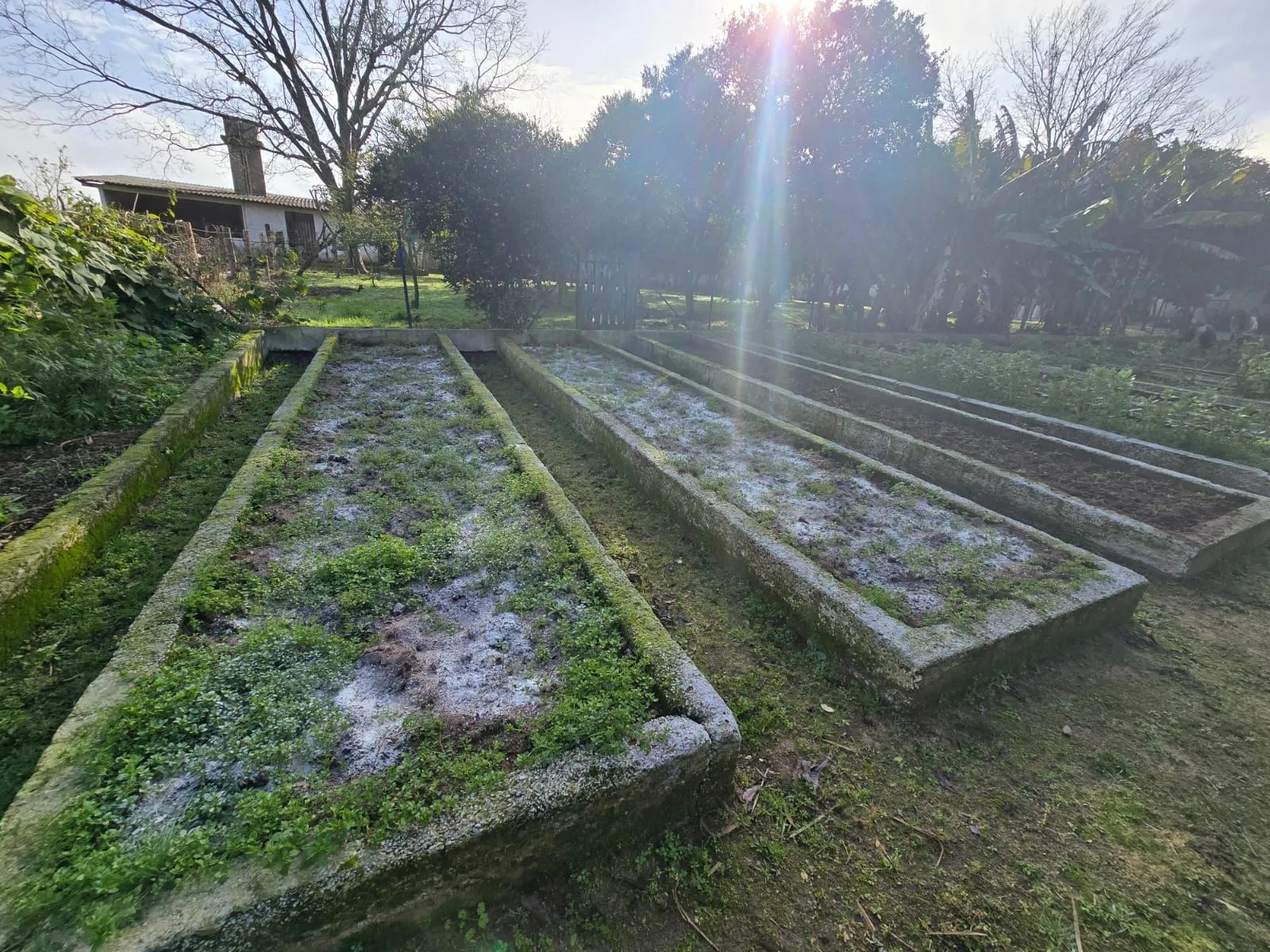 Imagem Sitio na Restinga com 2 casas e ótima oportunidade para investimento