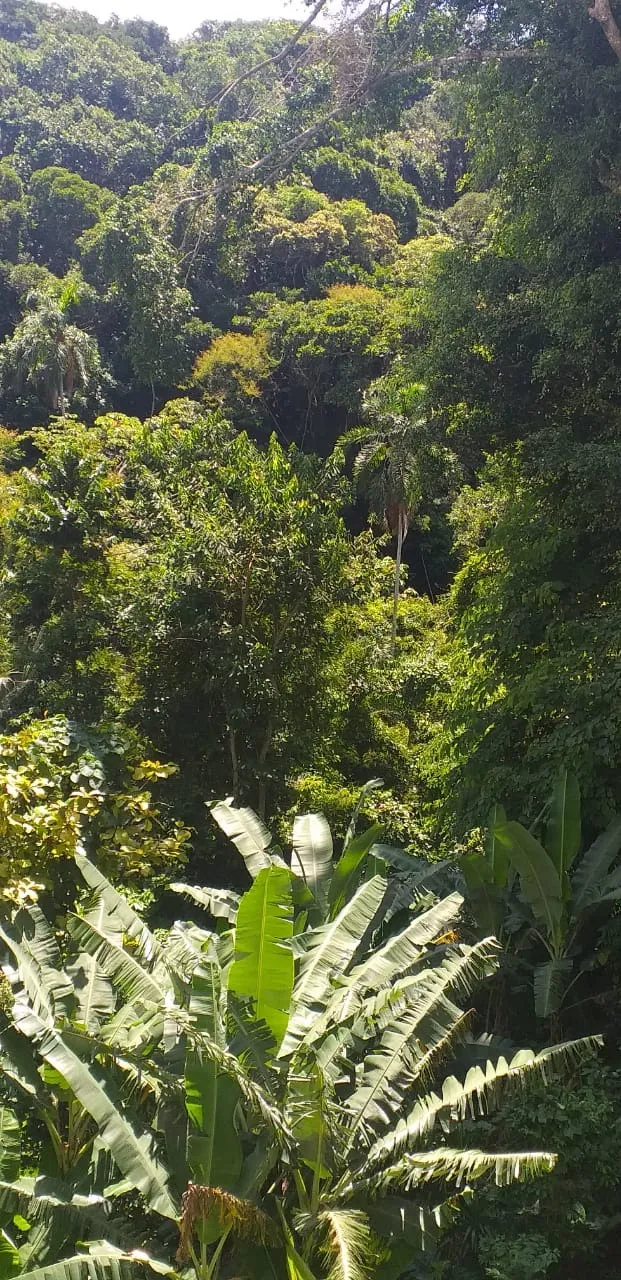 Imagem Apartamento à venda em Guarujá no condomínio Sorocotuba